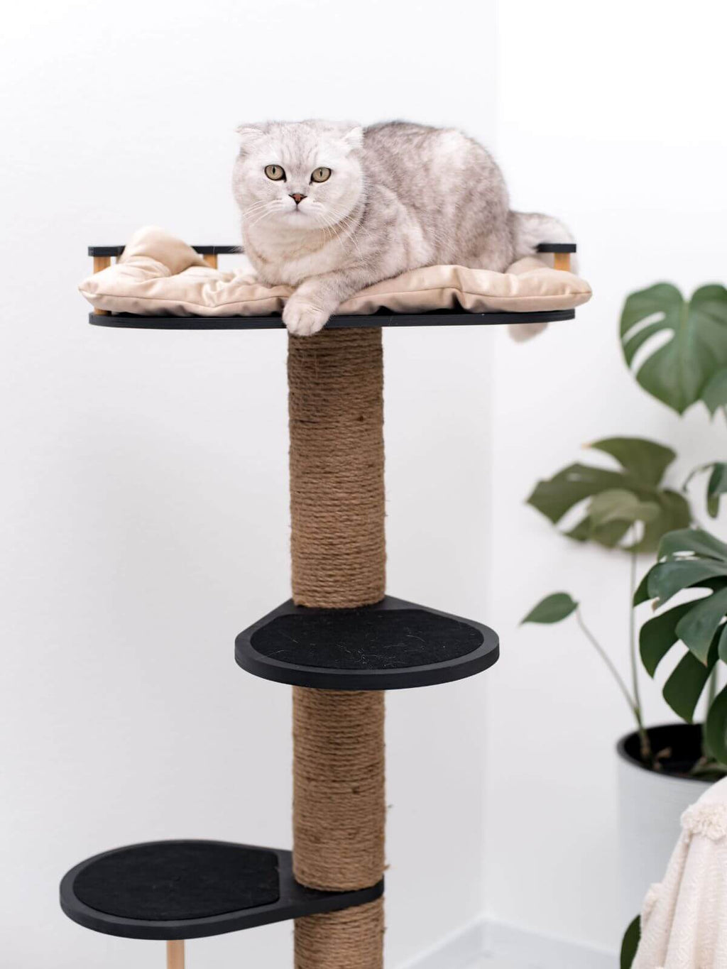 Wooden Cat Tree